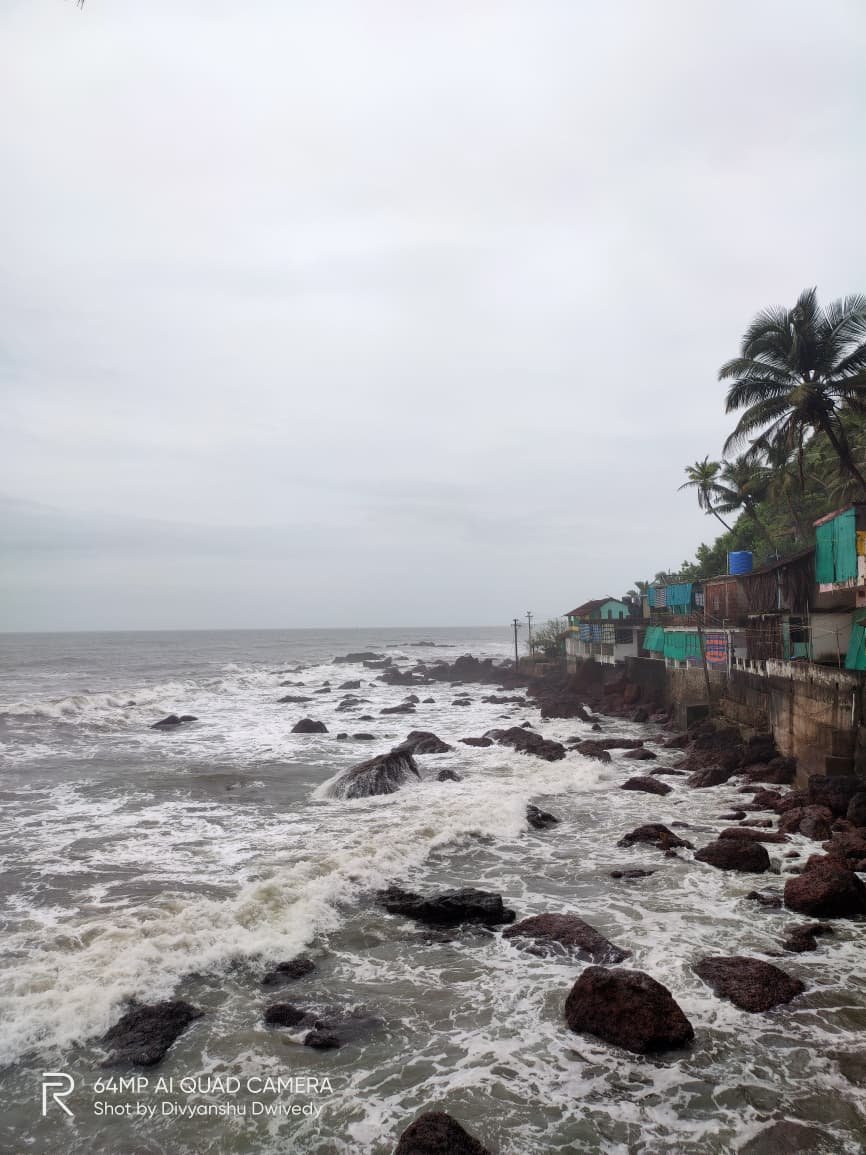 Day 2 South Goa